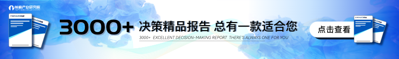 前瞻决策精品报告
